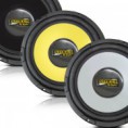 Alto-falante 12"